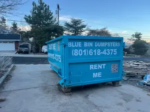 Silas from Blue Bin Dumpsters